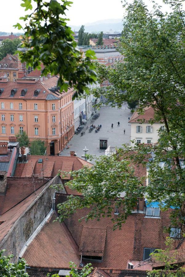 Stella Sky Lägenhet Ljubljana Exteriör bild